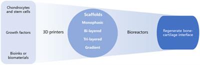 3D Printing for Bone-Cartilage Interface Regeneration